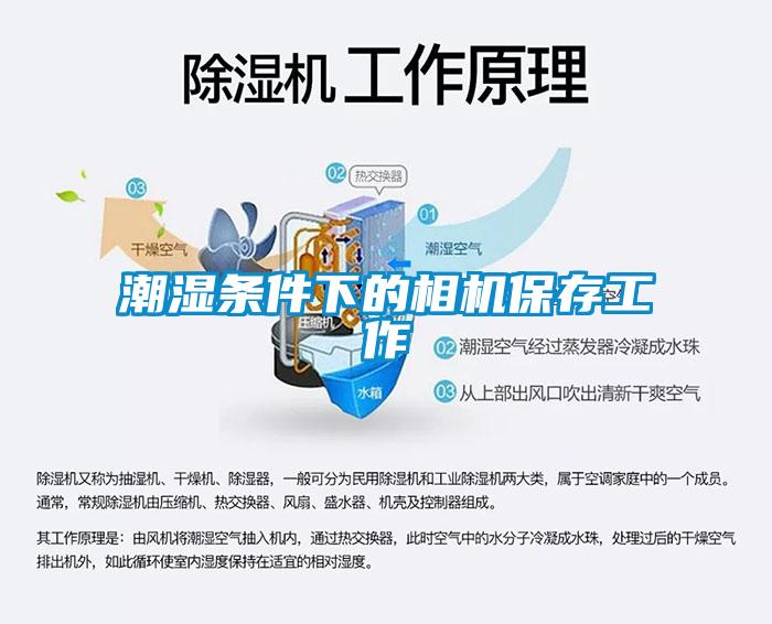 潮濕條件下的相機保存工作