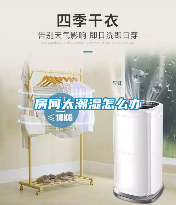 房間太潮濕怎麽辦