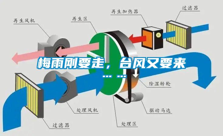 梅雨剛要走，台風又要來……