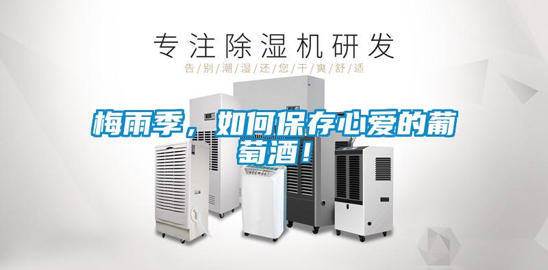 梅雨季，如何保存心愛的葡萄酒！