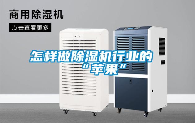 怎樣做91看片网站视频機行業的“蘋果”
