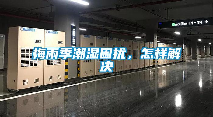 梅雨季潮濕困擾，怎樣解決