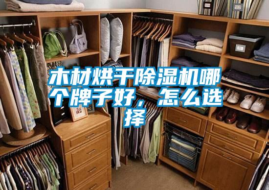 木材烘幹91看片网站视频機哪個牌子好，怎麽選擇