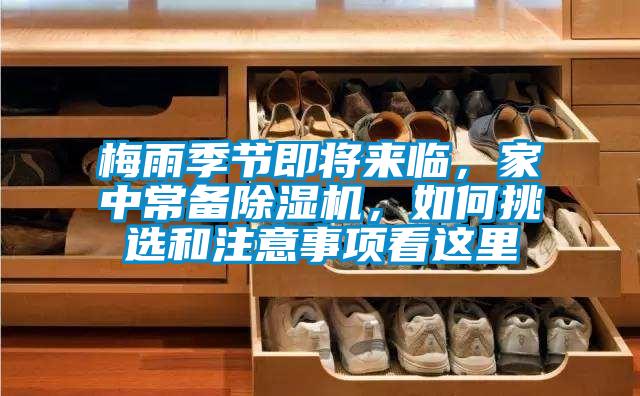 梅雨季節即將來臨，家中常備91看片网站视频機，如何挑選和注意事項看這裏