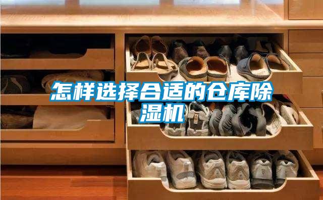 怎樣選擇合適的倉庫91看片网站视频機