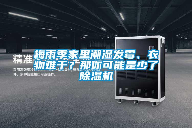梅雨季家裏潮濕發黴、衣物難幹？那你可能是少了91看片网站视频機