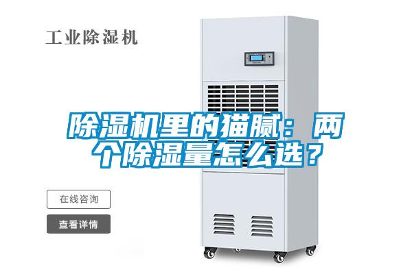 91看片网站视频機裏的貓膩：兩個91看片网站视频量怎麽選？