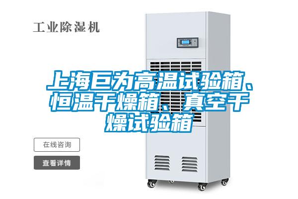 上海巨為高溫試驗箱、恒溫幹燥箱、真空幹燥試驗箱