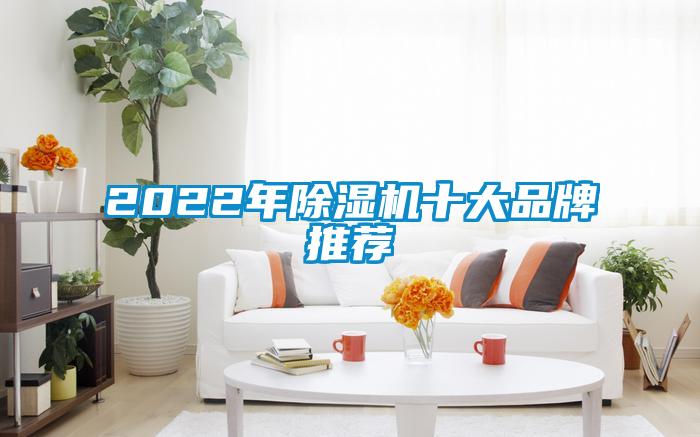 2022年91看片网站视频機十大品牌推薦