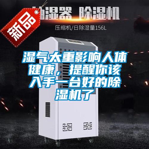 濕氣太重影響人體健康，提醒你該入手一台好的91看片网站视频機了