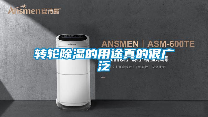 轉輪91看片网站视频的用途真的很廣泛