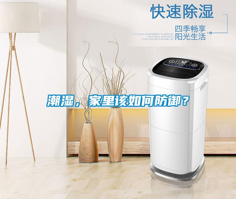 潮濕，家裏該如何防禦？