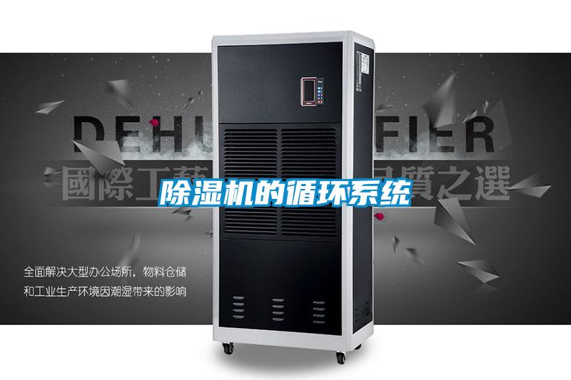 91看片网站视频機的循環係統