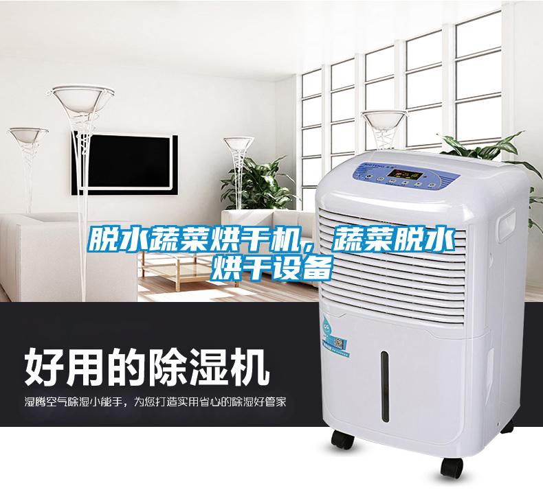 脫水蔬菜烘幹機，蔬菜脫水烘幹設備