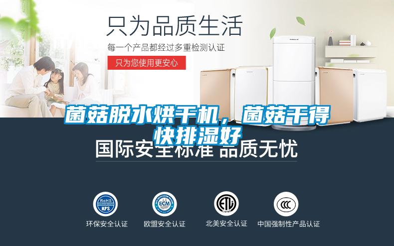 菌菇脫水烘幹機，菌菇幹得快排濕好