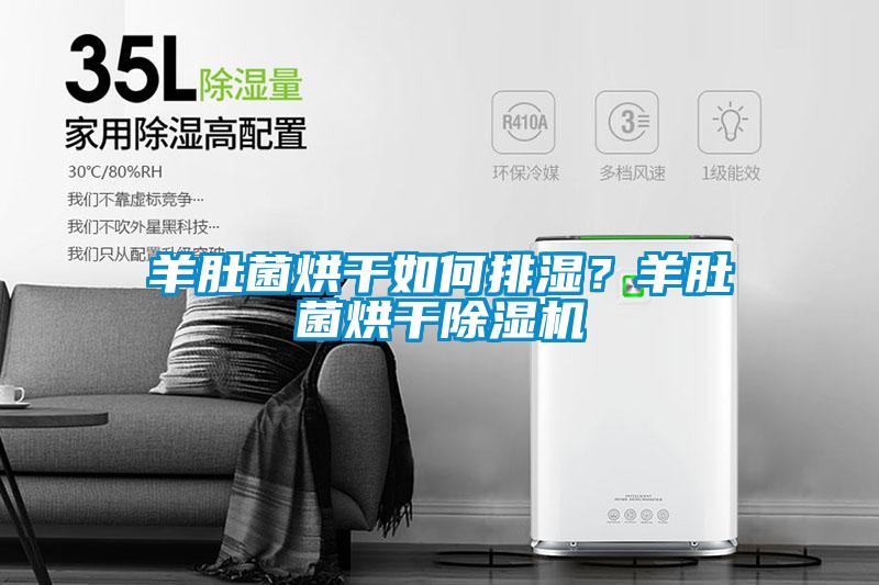 羊肚菌烘幹如何排濕？羊肚菌烘幹91看片网站视频機