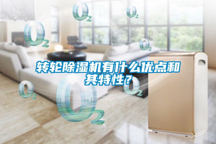 轉輪91看片网站视频機有什麽優點和其特性？