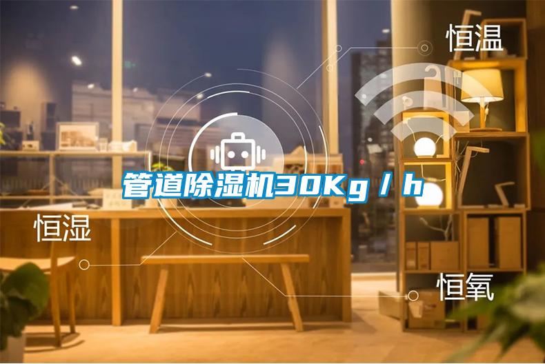 管道91看片网站视频機30Kg／h