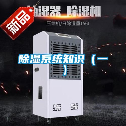 91看片网站视频係統知識（一）