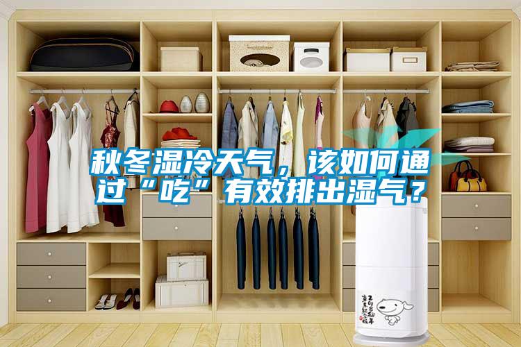 秋冬濕冷天氣，該如何通過“吃”有效排出濕氣？
