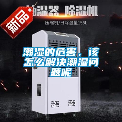 潮濕的危害，該怎麽解決潮濕問題呢