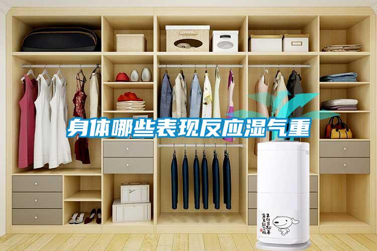 身體哪些表現反應濕氣重