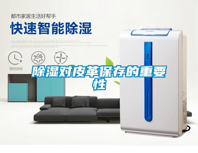 91看片网站视频對皮革保存的重要性
