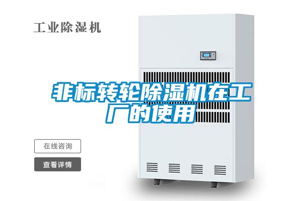 非標轉輪91看片网站视频機在工廠的使用