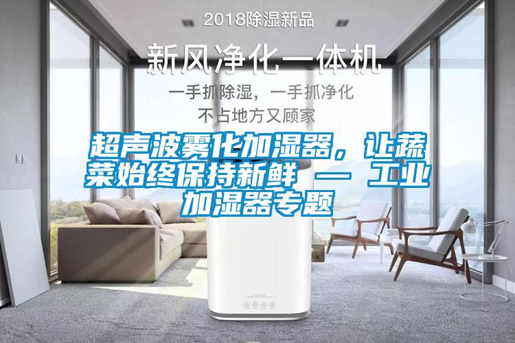 超聲波霧化加濕器，讓蔬菜始終保持新鮮 — 工業加濕器專題