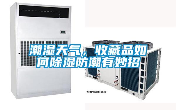 潮濕天氣，收藏品如何91看片网站视频防潮有妙招