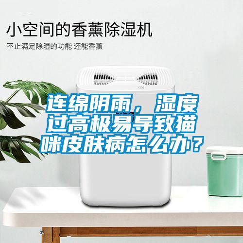 連綿陰雨，濕度過高極易導致貓咪皮膚病怎麽辦？