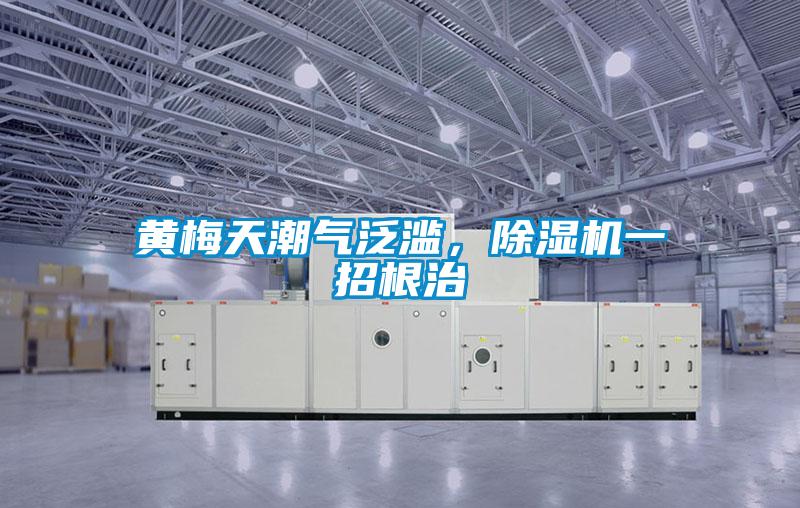 黃梅天潮氣泛濫，91看片网站视频機一招根治