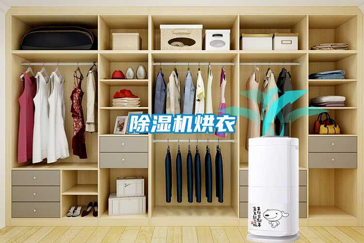 91看片网站视频機烘衣