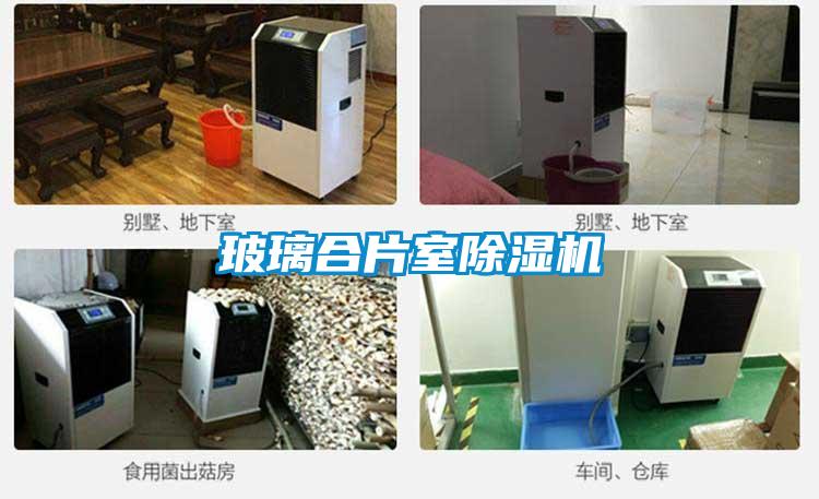 玻璃合片室91看片网站视频機