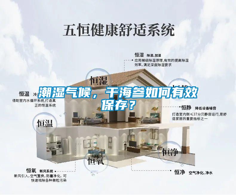 潮濕氣候，幹海參如何有效保存？