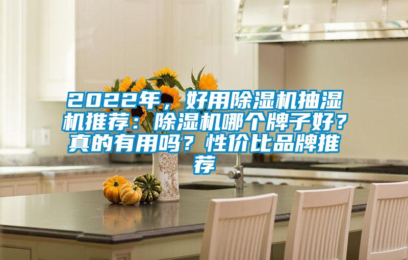 2022年，好用91看片网站视频機抽濕機推薦：91看片网站视频機哪個牌子好？真的有用嗎？性價比品牌推薦