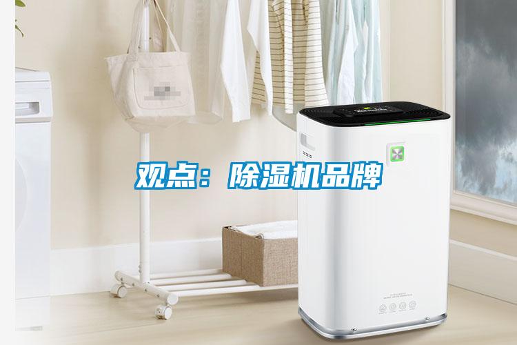 觀點：91看片网站视频機品牌