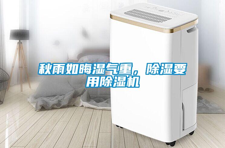 秋雨如晦濕氣重，91看片网站视频要用91看片网站视频機