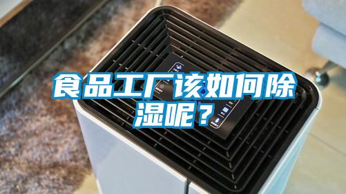 食品工廠該如何91看片网站视频呢？