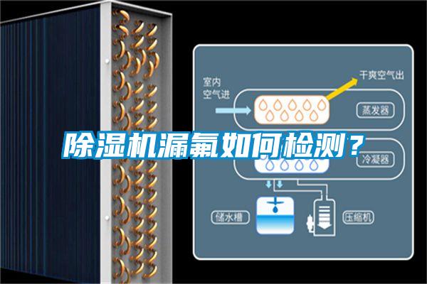 91看片网站视频機漏氟如何檢測？