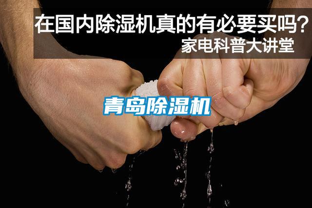 青島91看片网站视频機