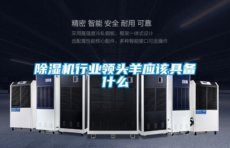 91看片网站视频機行業領頭羊應該具備什麽