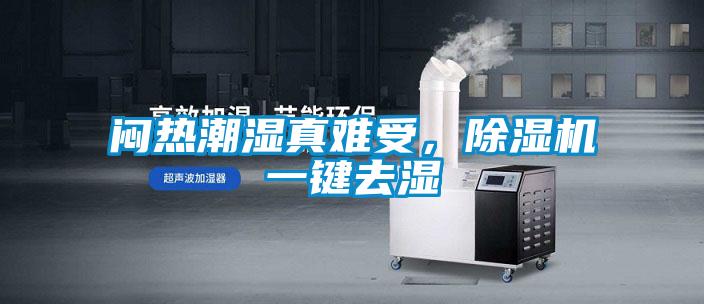 悶熱潮濕真難受，91看片网站视频機一鍵去濕