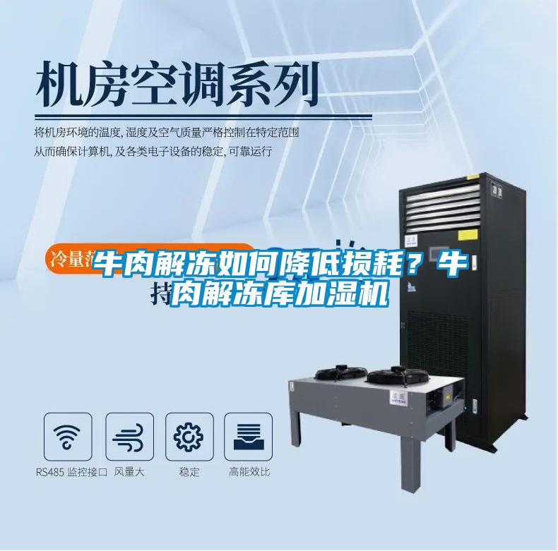 牛肉解凍如何降低損耗？牛肉解凍庫加濕機