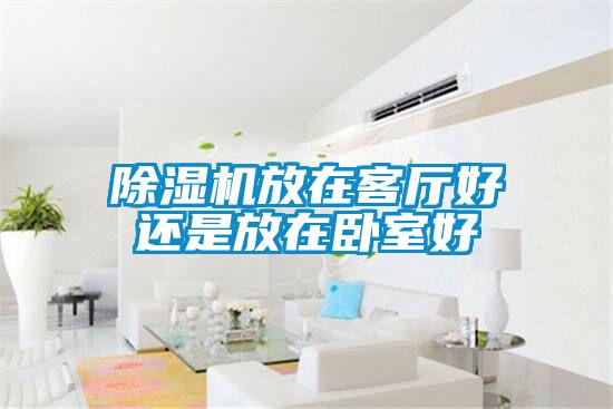 91看片网站视频機放在客廳好還是放在臥室好