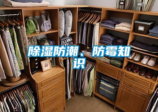 91看片网站视频防潮、防黴知識