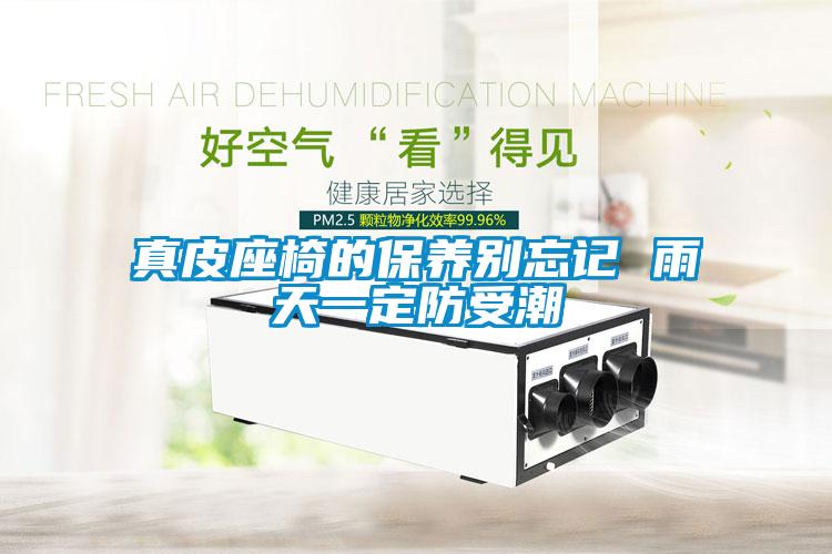 真皮座椅的保養別忘記 雨天一定防受潮