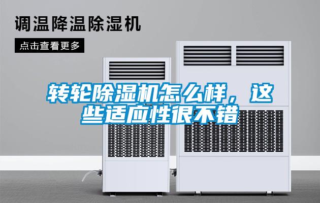 轉輪91看片网站视频機怎麽樣，這些適應性很不錯