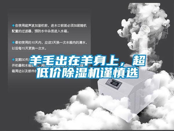 羊毛出在羊身上，超低價91看片网站视频機謹慎選