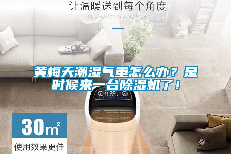 黃梅天潮濕氣重怎麽辦？是時候來一台91看片网站视频機了！